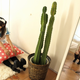Illustration for article titled Inside Cosplay Photography Events (And a Fancy Shinjuku Apartment)